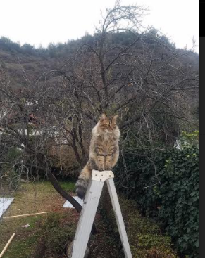 “英超顶级战役:关键胜利再添冠军希望”,英超战术史