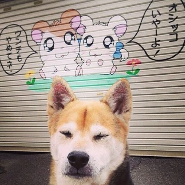 kaiyun中国官方网站-利物浦2-0击败曼城，萨拉赫和菲尔米诺攻城掠地，利物浦球队萨拉赫